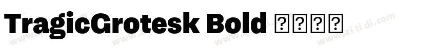 TragicGrotesk Bold 字体转换
